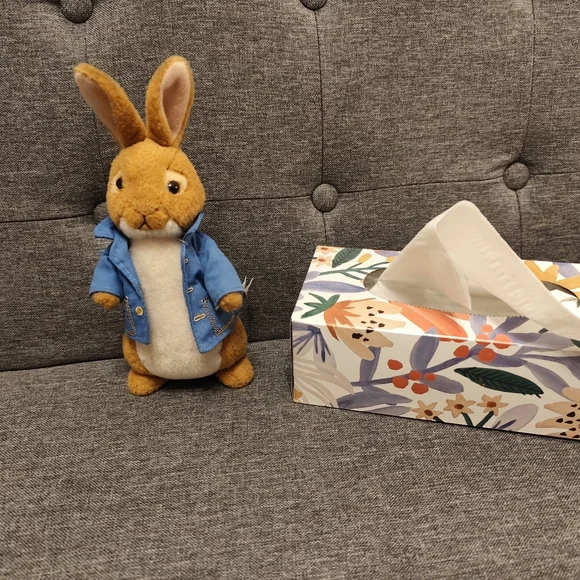 Ty Peter Rabbit Stuffed Bunny - Picture 3 of 5